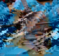 Cafe Buenta - VIC Tourism