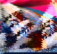 Donut King - Frankston - VIC Tourism