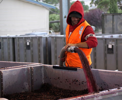 Haselgrove Wines - VIC Tourism 2