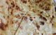 Indian Curry Cuisine - thumb 0