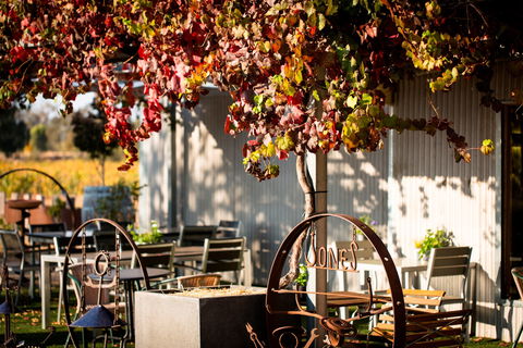 Jones Winery & Vineyard - VIC Tourism 0