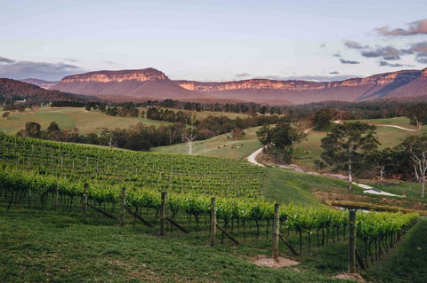 Dryridge Estate - VIC Tourism 0