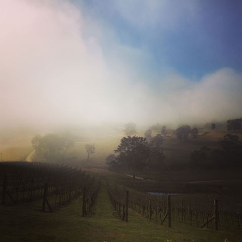 Dryridge Estate - VIC Tourism 1