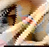 The Crusty Loaf - VIC Tourism