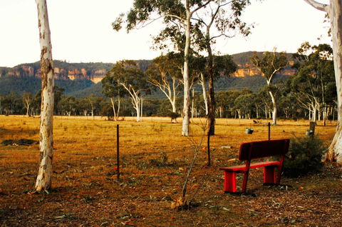 The Megalong Valley Tearooms - VIC Tourism 0