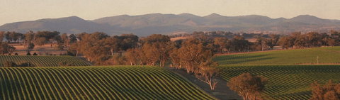 Angullong Cellar Door - VIC Tourism 1