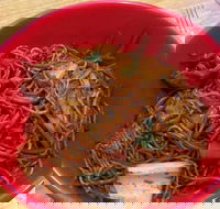 Noodle World - VIC Tourism