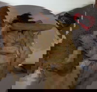 Tandoori Inn - VIC Tourism