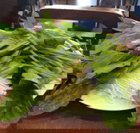 The Cube Hot Pot - VIC Tourism