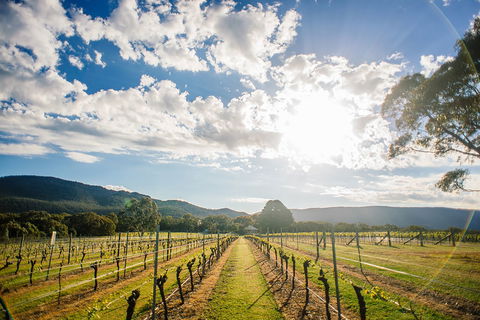 Fallen Giants Vineyard - VIC Tourism 0
