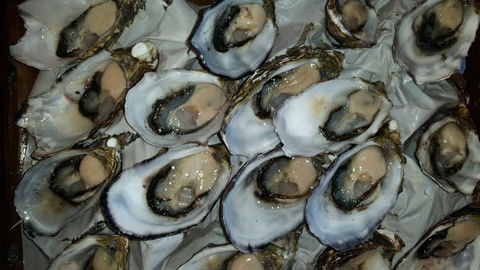 Manly Fish Market - VIC Tourism 0