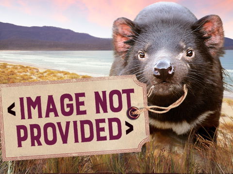 Earthy Eats - VIC Tourism 0