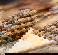 Mayfield Chocolates - Spring Hill - VIC Tourism