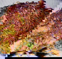 Silver Moon - VIC Tourism