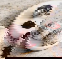 Gelatissimo - Newtown - VIC Tourism