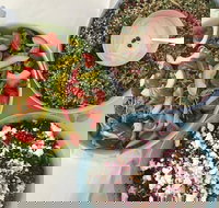 Abbotsford Zest Chargrill Chicken - VIC Tourism