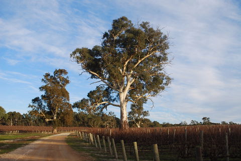 Elysian Springs - VIC Tourism 1