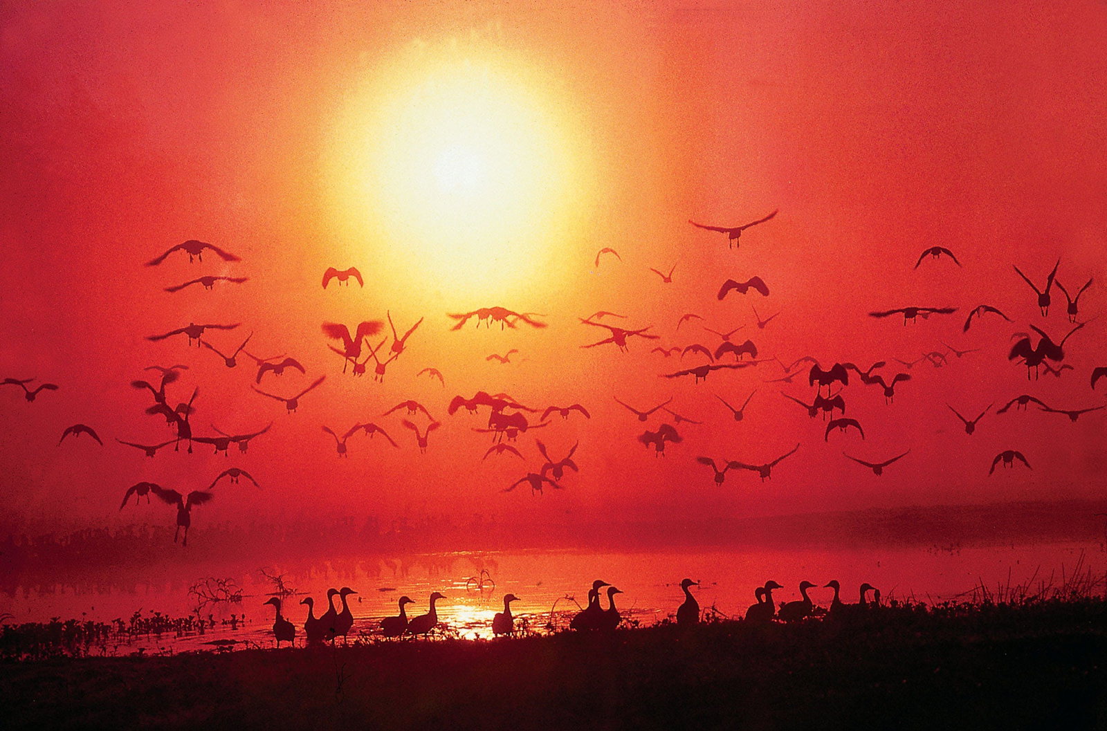 Alice Springs NT VIC Tourism