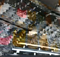 Limonetto Gelati - VIC Tourism