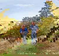 WayWood Wines - VIC Tourism