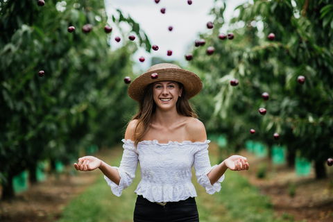 Cherryhill Orchards - VIC Tourism 0