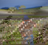 Kurtz Family Vineyards - VIC Tourism