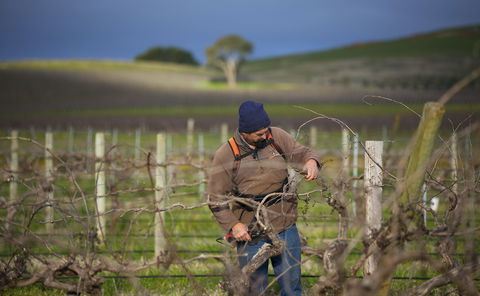 Kurtz Family Vineyards - VIC Tourism 0
