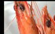 The Prawn Shack - thumb 0