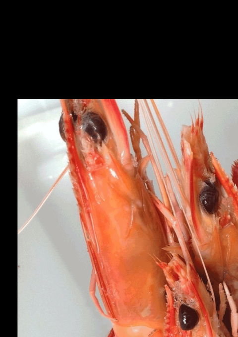 The Prawn Shack - VIC Tourism 0