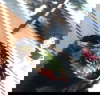 Sushi Monster - VIC Tourism