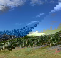 Freycinet Vineyard - VIC Tourism