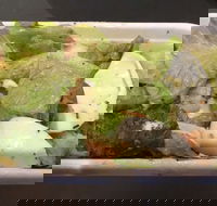 Pronto Pizza - VIC Tourism