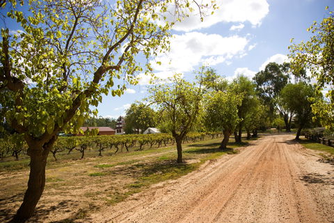 Tahbilk Winery And Vineyard - VIC Tourism 1