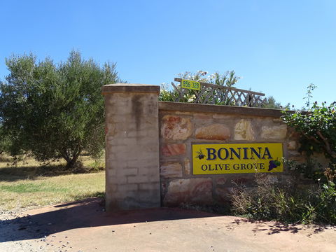 Bonina Olive Grove - VIC Tourism 1