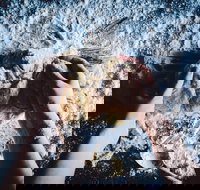 Mill  Bakery - VIC Tourism