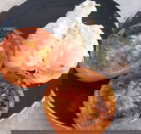 The Deck Poolside Bar  Restaurant - VIC Tourism