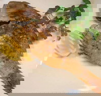 Sassone Cucina Italiana - VIC Tourism