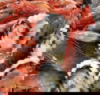 Mi Shells Seafood - VIC Tourism