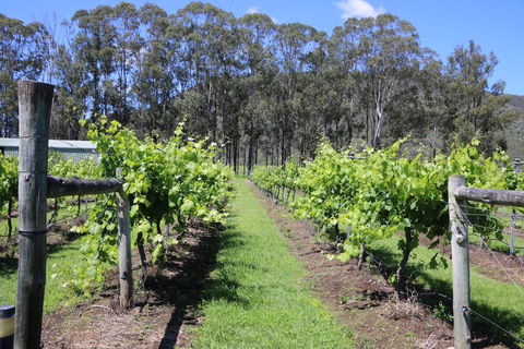 Woongooroo Estate Winery - VIC Tourism 0