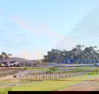 Blacklea Vineyard and Olive Grove - VIC Tourism