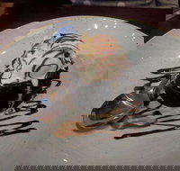 Front Bar - Greengate Hotel - VIC Tourism