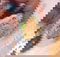 Sushi Sushi - Frankston - VIC Tourism