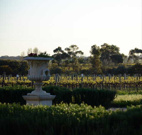 Angas Plains Wines Cellar Door - VIC Tourism 1