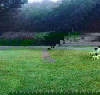 Goat Hill Farm