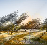 Guneemooroo Estate - VIC Tourism