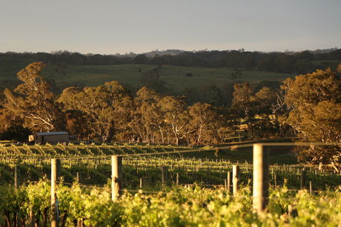 Max & Me Wine Tasting @ Eden Valley Hotel - VIC Tourism 1