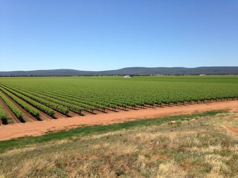 Melange Wines - VIC Tourism 0