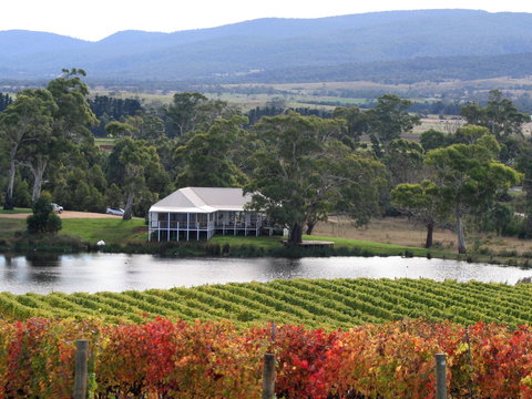 Milton Vineyard - VIC Tourism 0