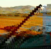 Seize the Day Wines - VIC Tourism