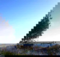 The Seafood Grill - VIC Tourism